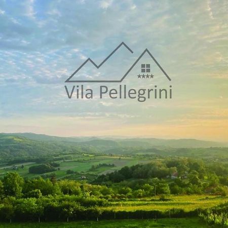 Vila Pellegrini Arandjelovac Bagian luar foto