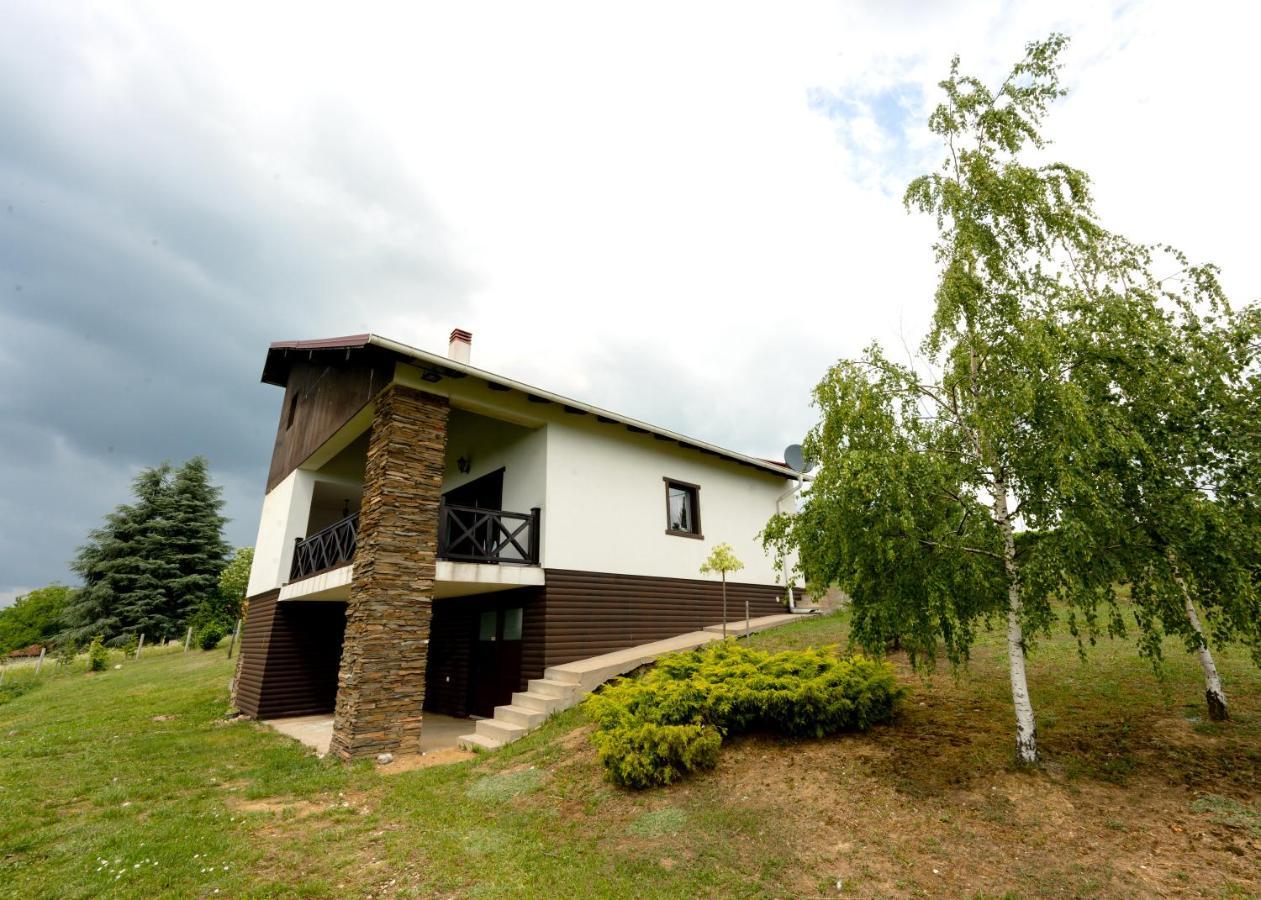 Vila Pellegrini Arandjelovac Bagian luar foto