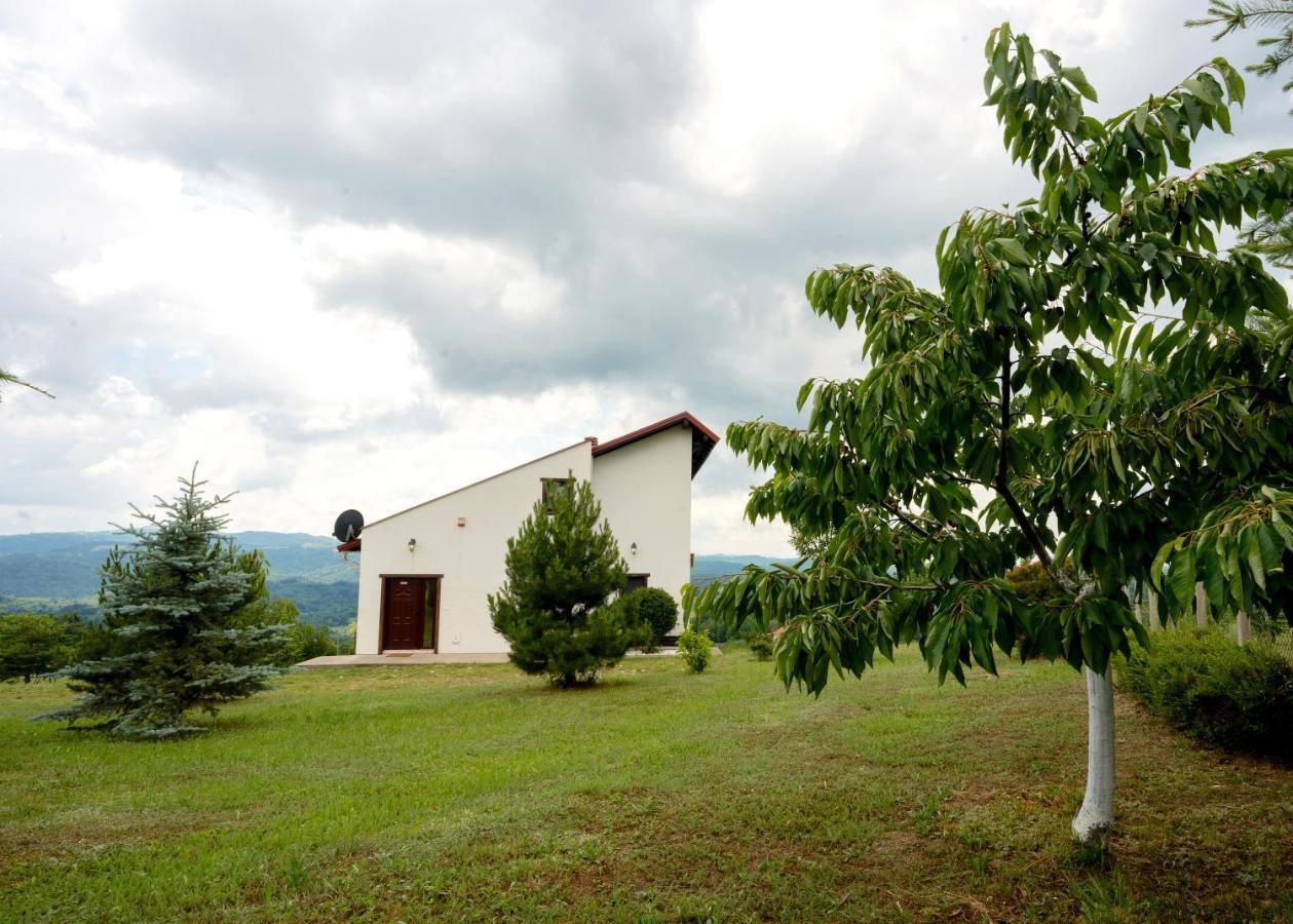 Vila Pellegrini Arandjelovac Bagian luar foto